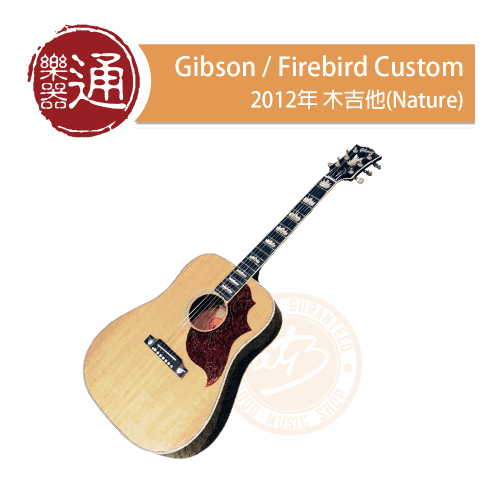 20201126_Gibson_Firebird-Custom_PC-Head