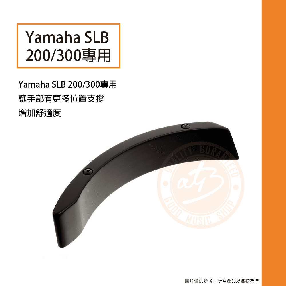 20210219_Yamaha_BEF2_02