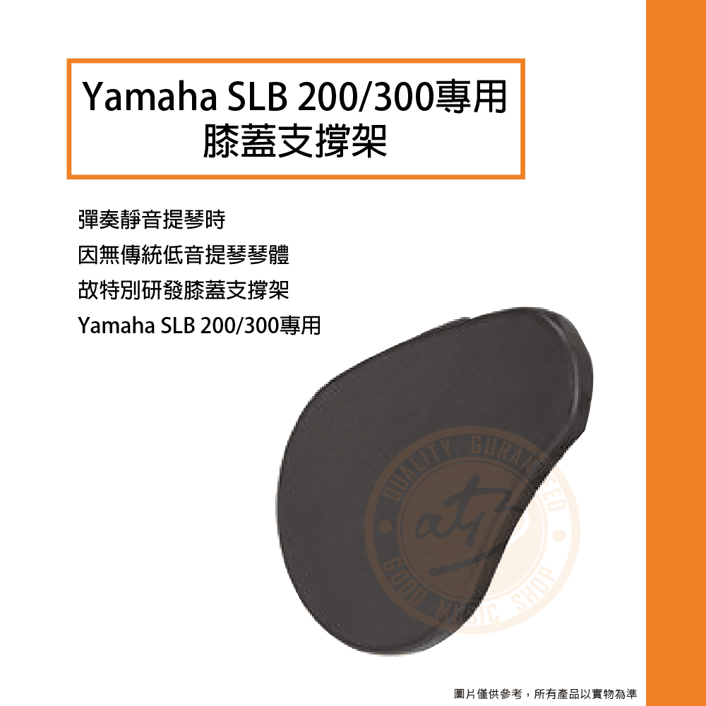 20210219_Yamaha_BKS2_01