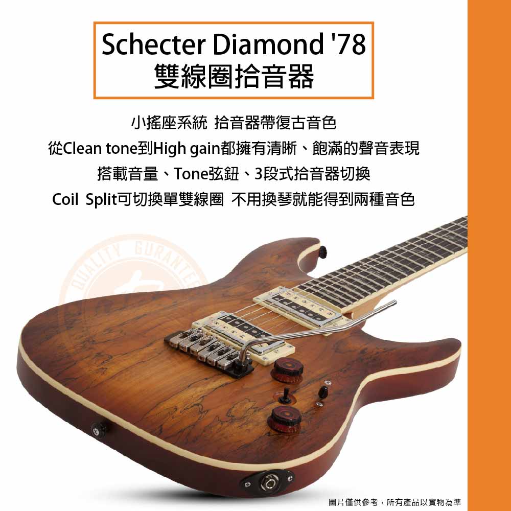 20220727_Schecter_C-1 Exotic Spalted Maple_03