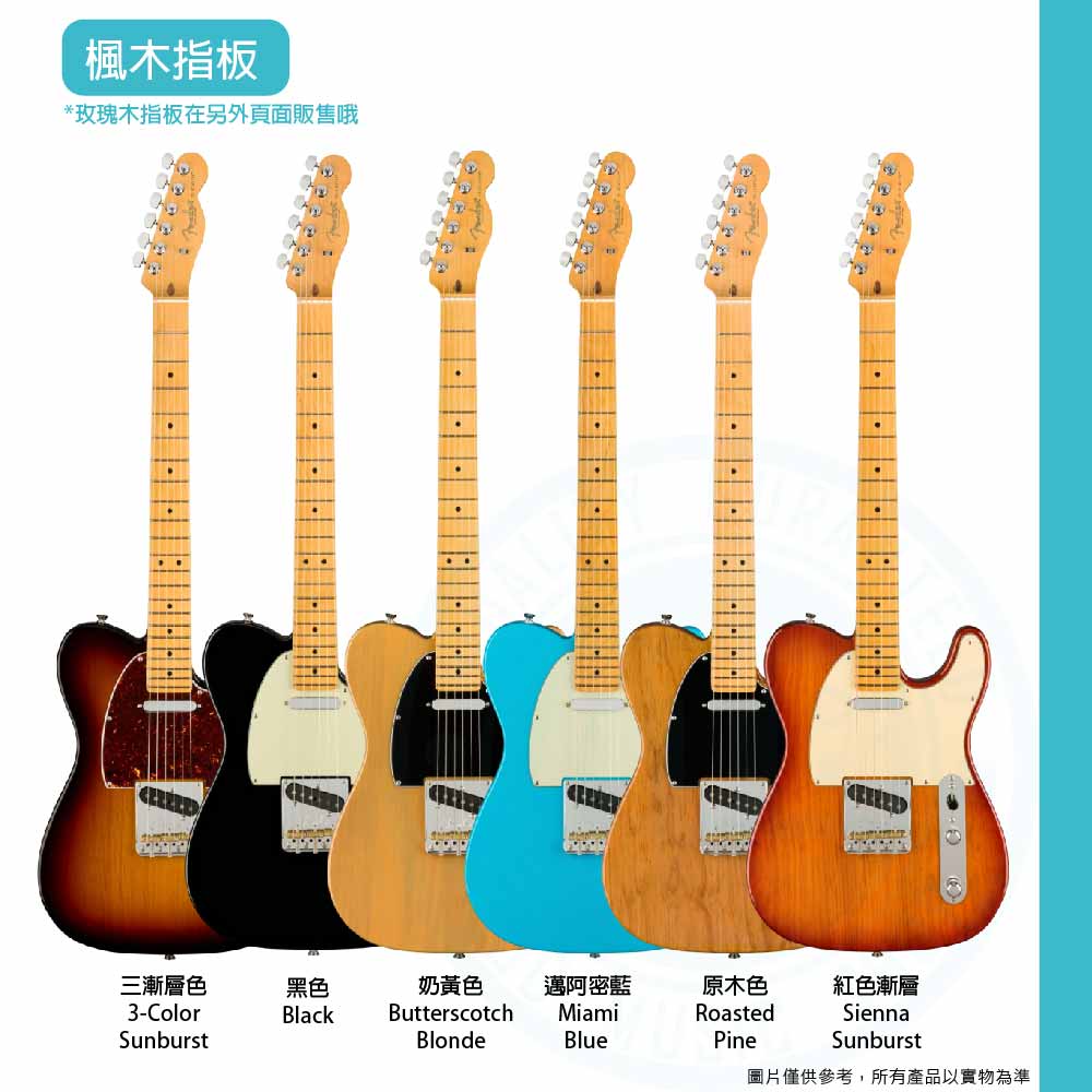 20221007_Fender_AM Pro Tele 2_MN_4