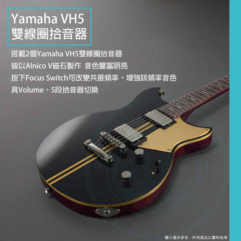 20221026_Yamaha_Revstar_ RSP20X_2