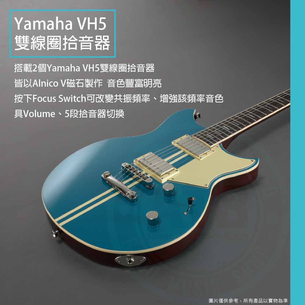 20221026_Yamaha_Revstar_ RSP20_2