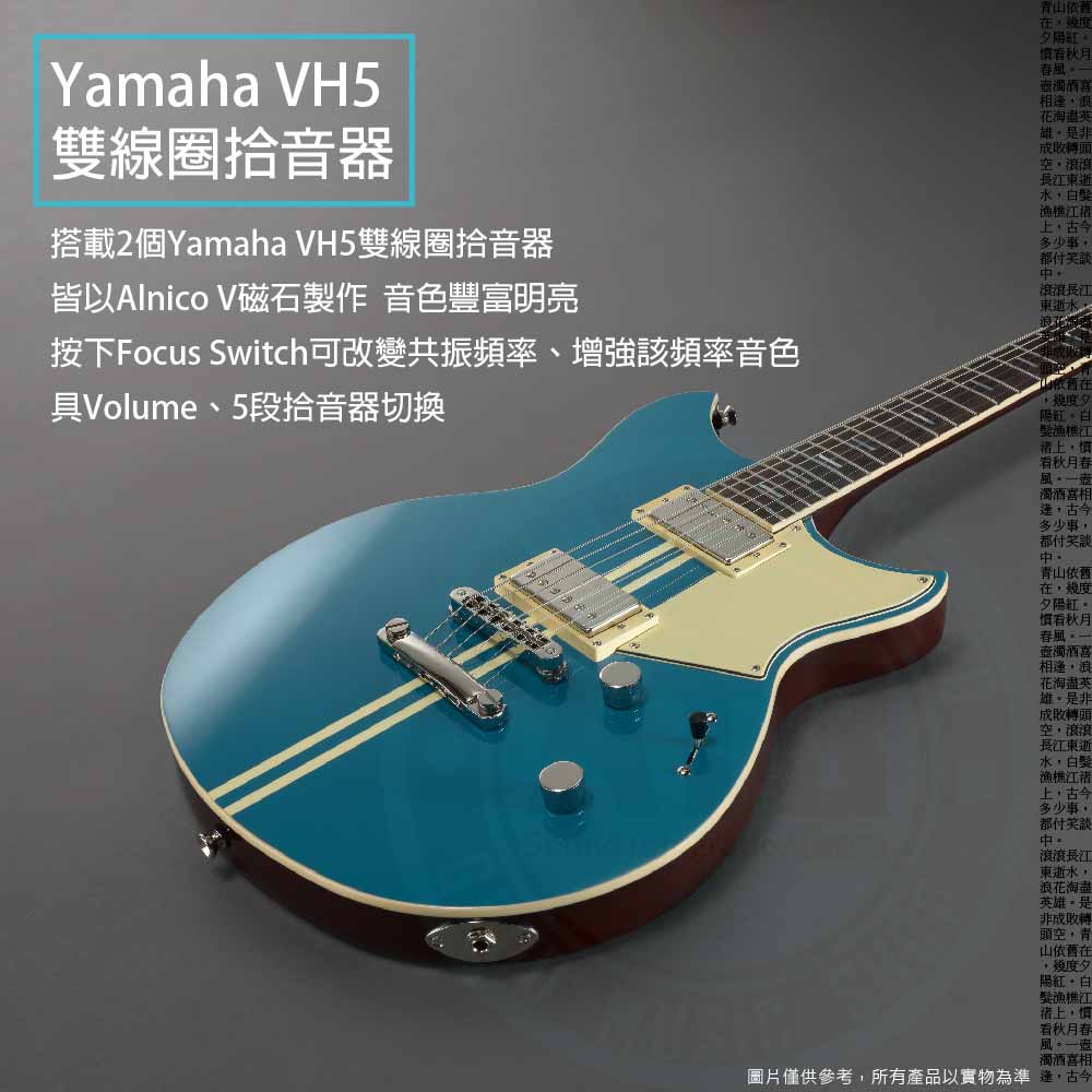 20221026_Yamaha_Revstar_ RSS20_2