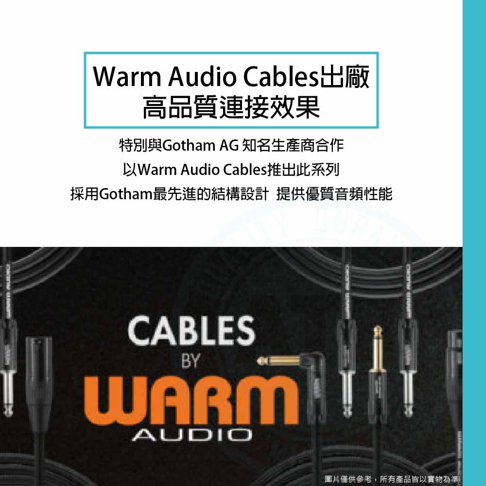 Warm Audio_Pro Series TRS-XLR Male_3